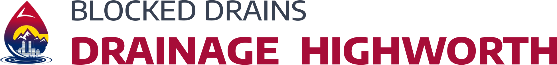 website logo